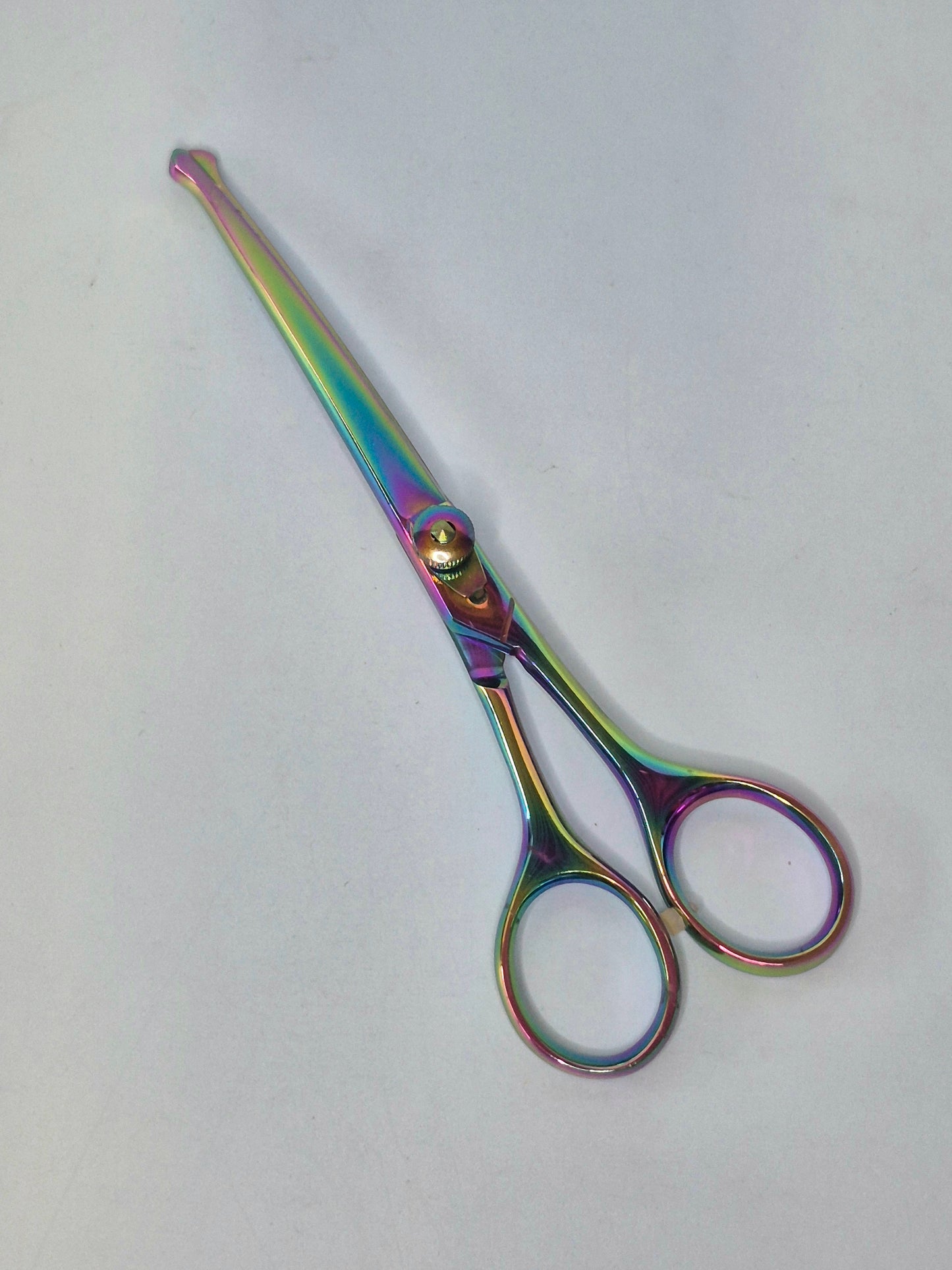 Pet Grooming Scissors 6" Curved, Blunt Tips