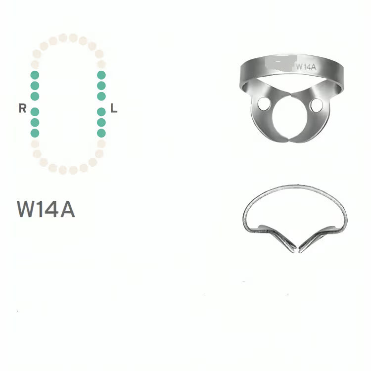 Rubber Dam Clamp (Molar Winged) #W14A