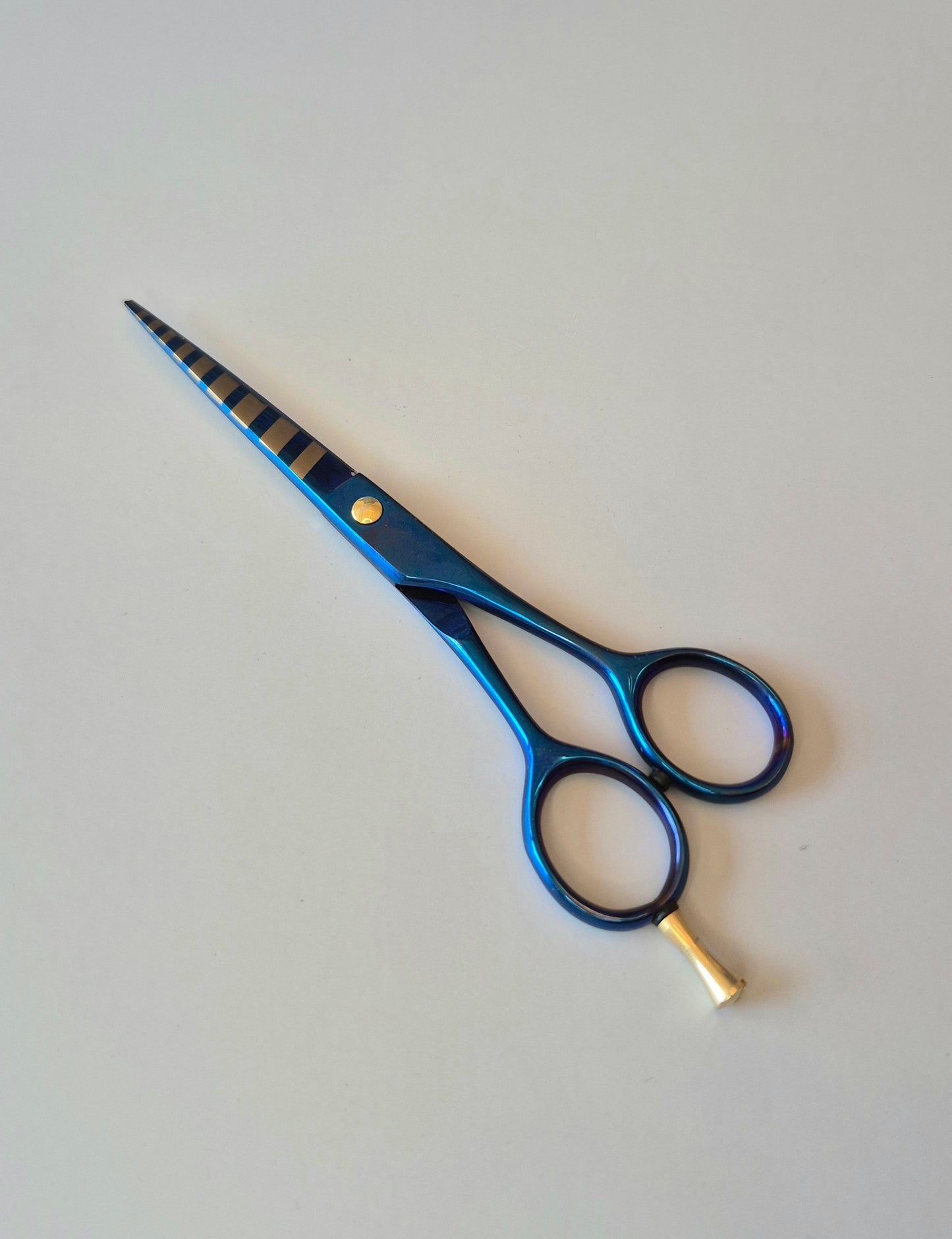 Hair Styling Shear 6" (Blue)