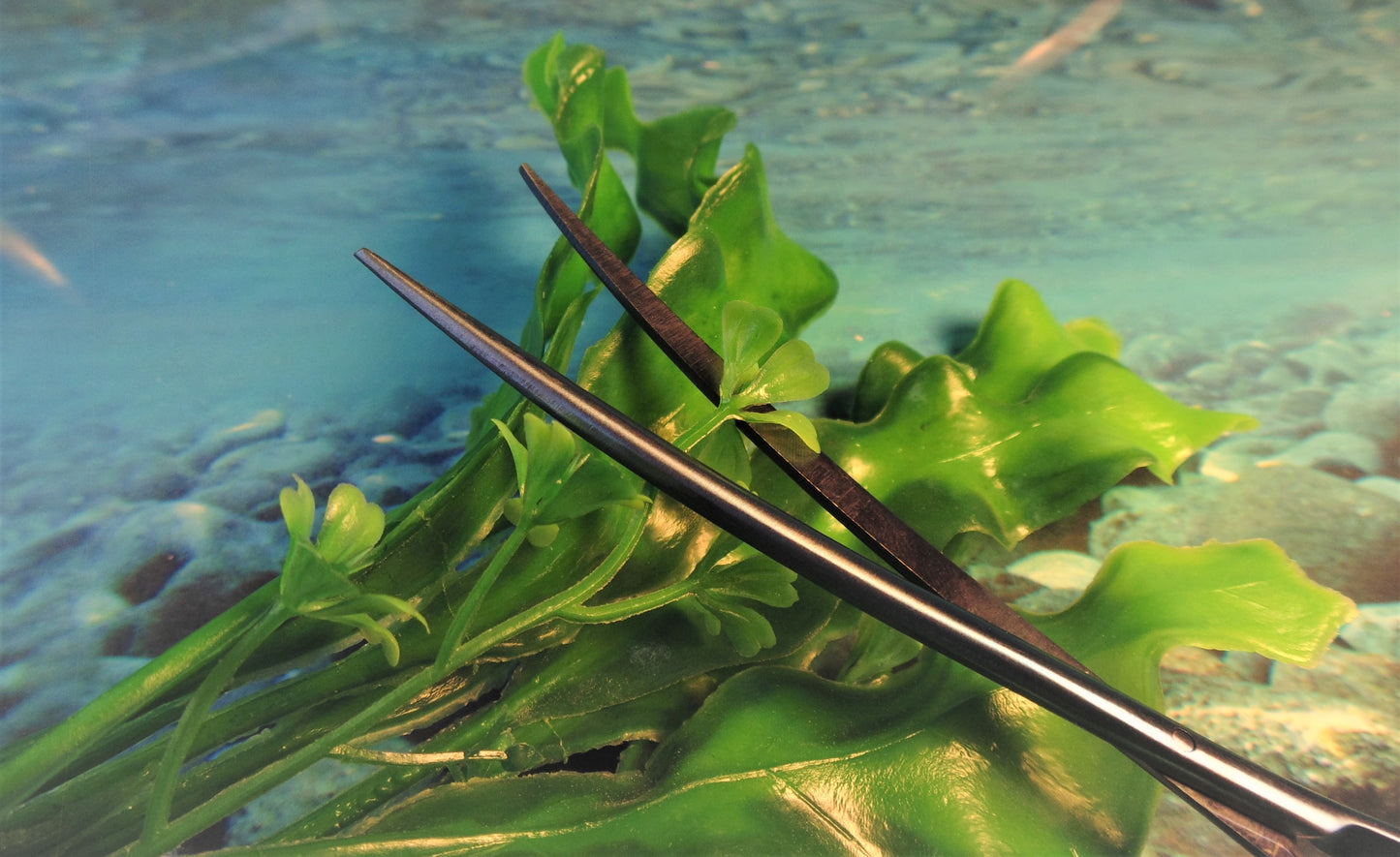 8" Aquarium Scissors
