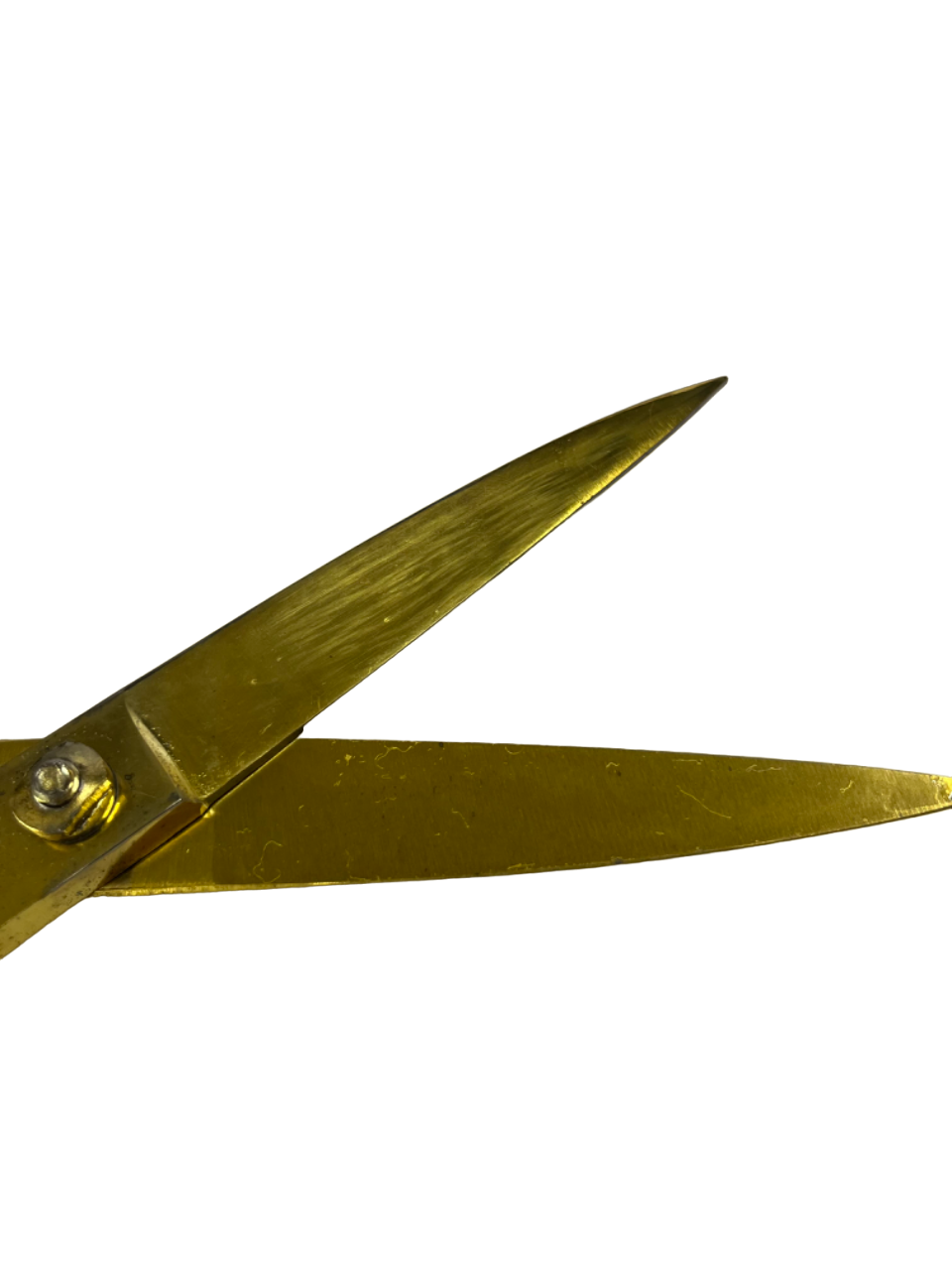 10' Ceremonial Scissors (Gold Plated