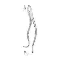 Dental Forcep #99A