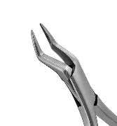 Dental Forcep #65