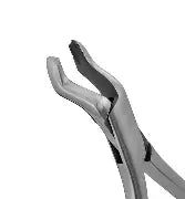 Dental Forcep #53L