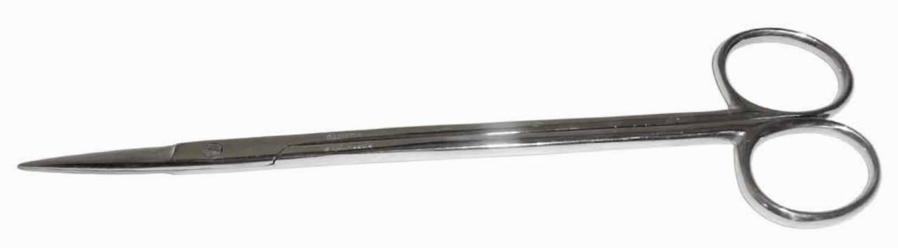 Kelly Scissor, Straight 6.25"