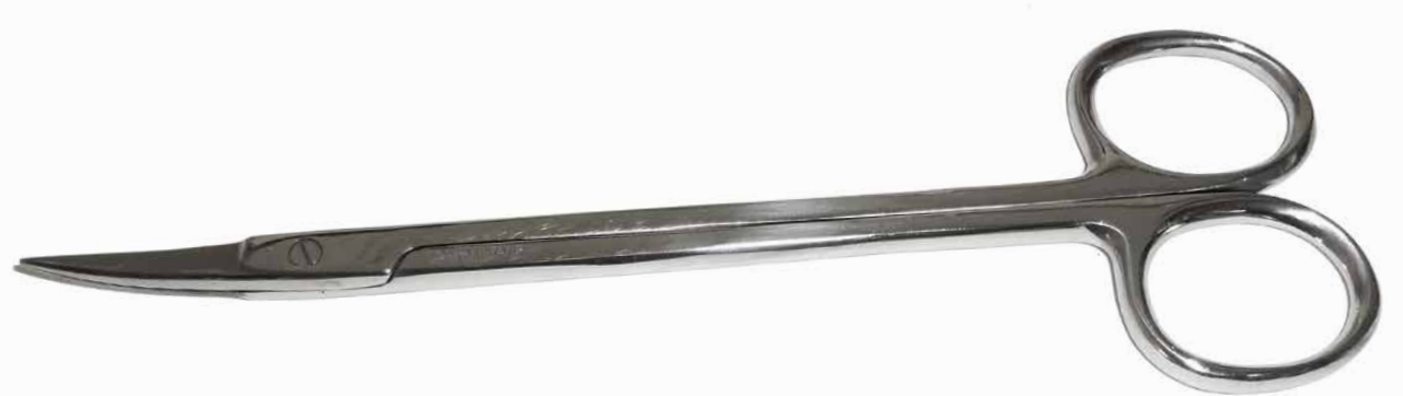 Kelly Scissor, Curved 6.25"