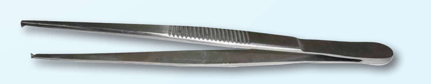 Tissue Forcep, 1X2 5.5"