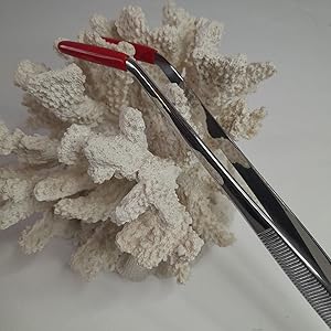 Aquarium Tongs 12" bent rubber tips