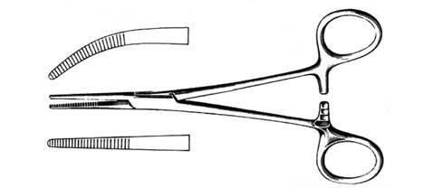 Rankin Kelly Forcep 6.25” Straight