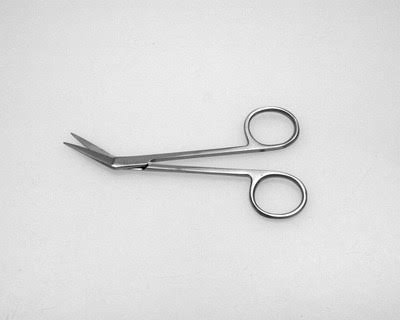 Iris Scissor Angled 4.5”
