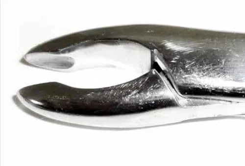 Tamsco Dental Forcep #213