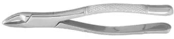Tamsco Dental Forcep #101