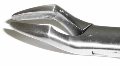 Tamsco Dental Forcep #32