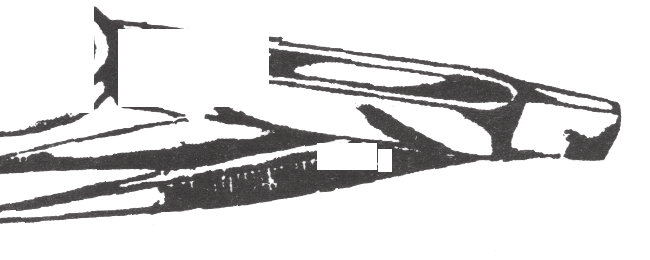 Virtus Splinter Forcep 6”