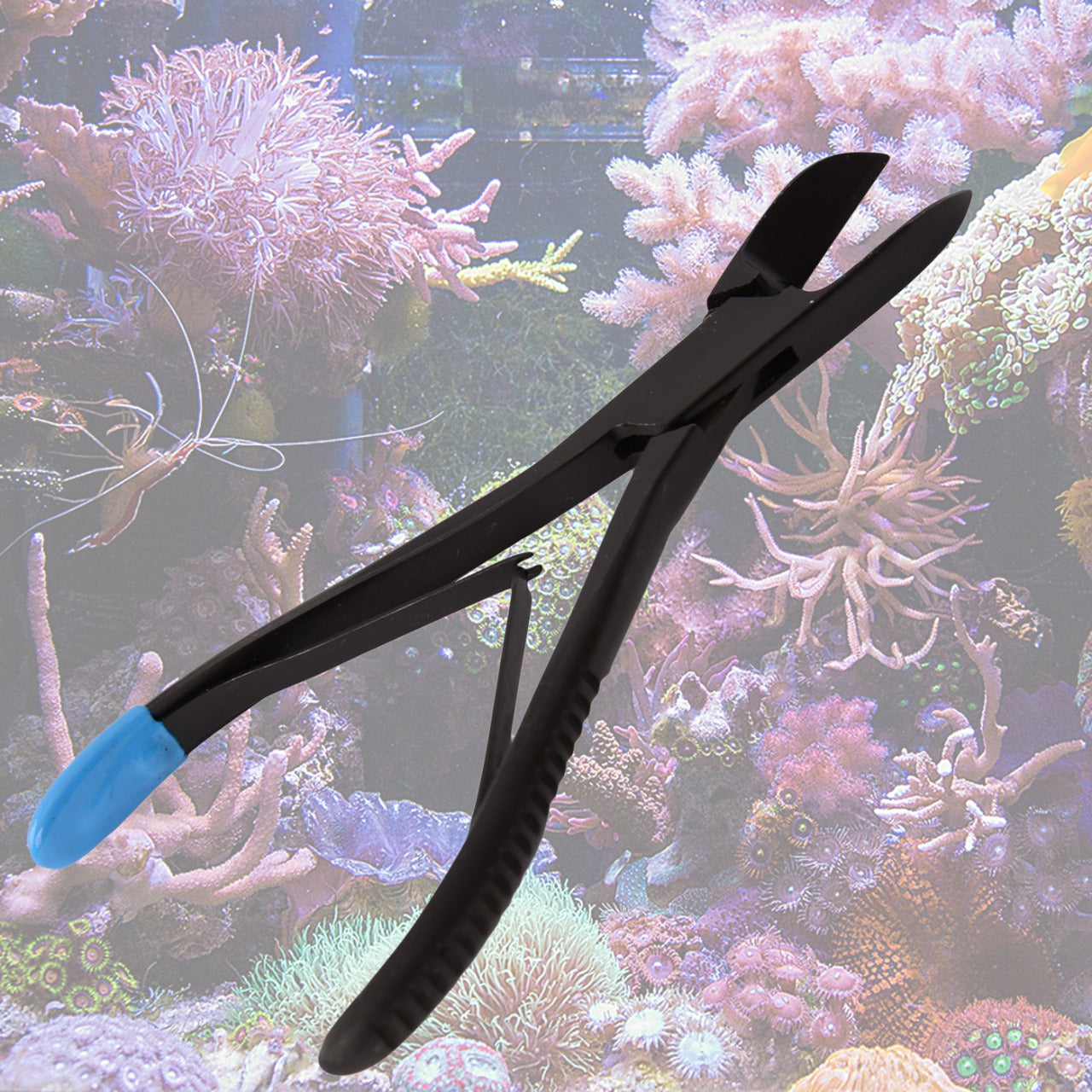Heavy Duty Coral Cutter 8" (Black Oxidized)
