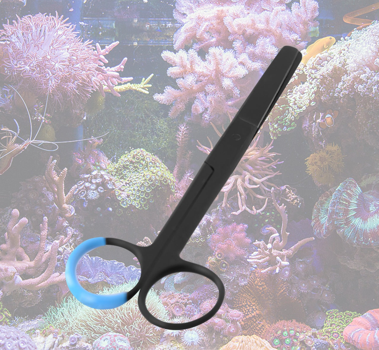 Aquarium Scissors Medium Point Scissors 6''