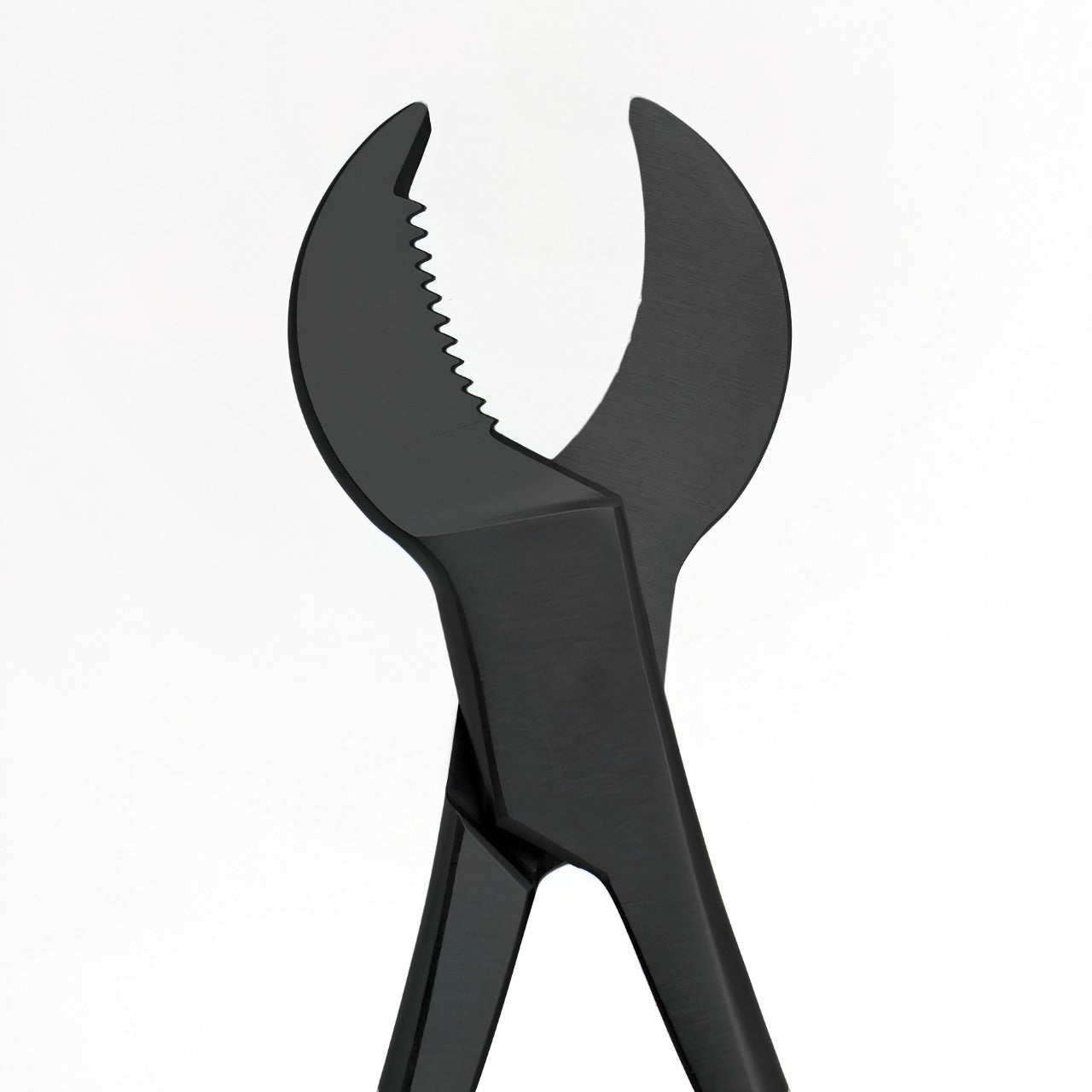 Heavy Duty Coral Cutter 8" (Cow Horn Jaws)