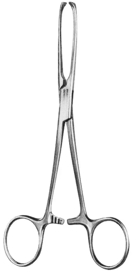 Allis Tissue Forcep 4X5 6"