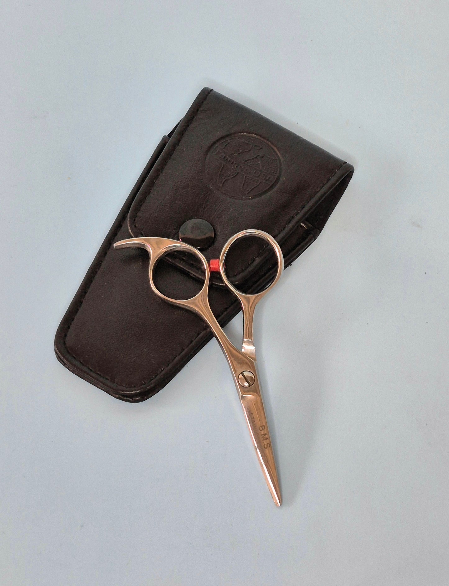 Mini Shears 4" Gold or Silver