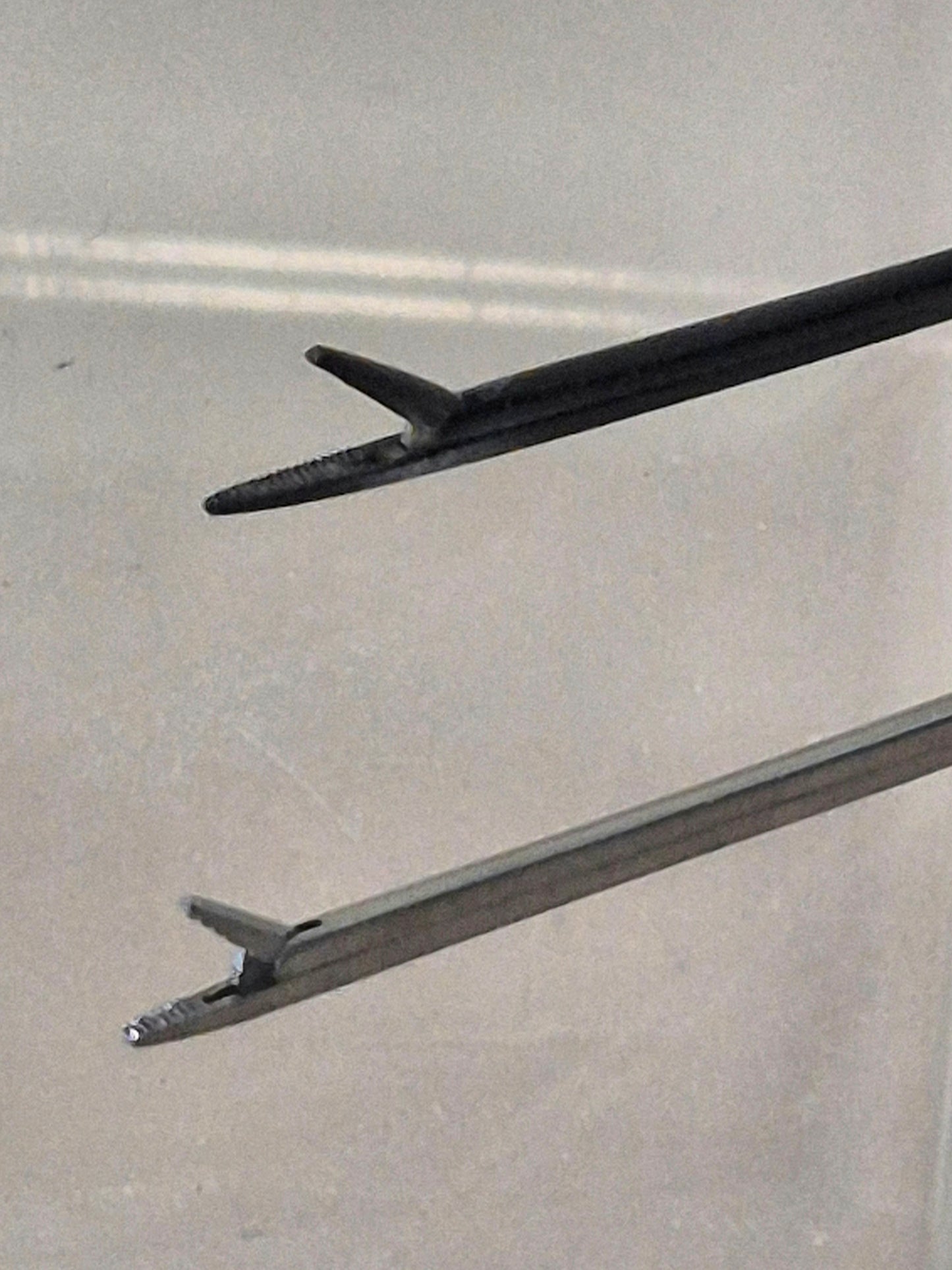 Micro Alligator Forceps, ENT (2 sizes available)