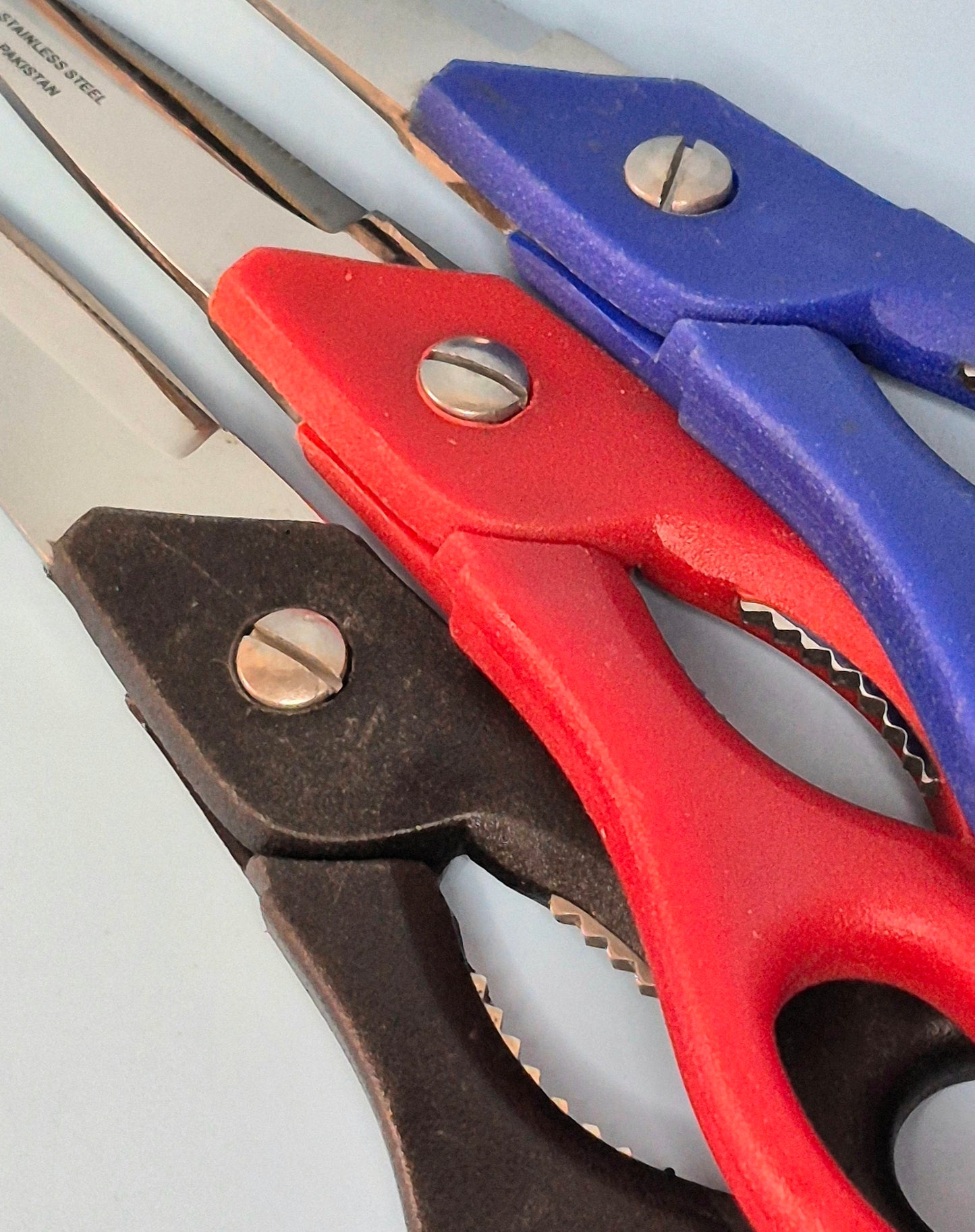 Kitchen Scissors 8" Plastic Handle (3 colors)