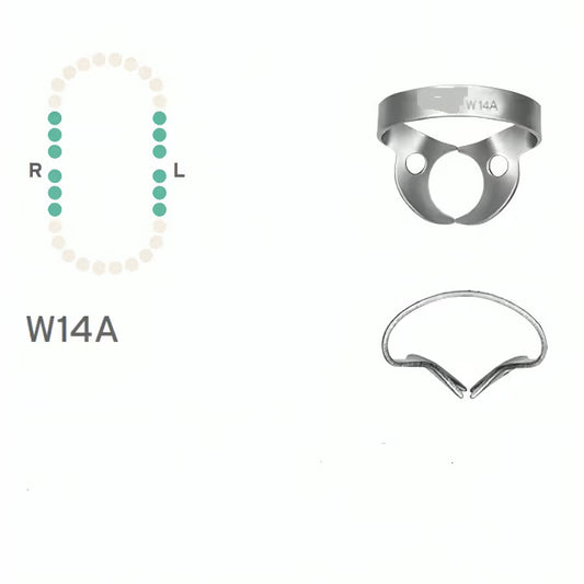 Rubber Dam Clamp (Molar Winged) #W14A