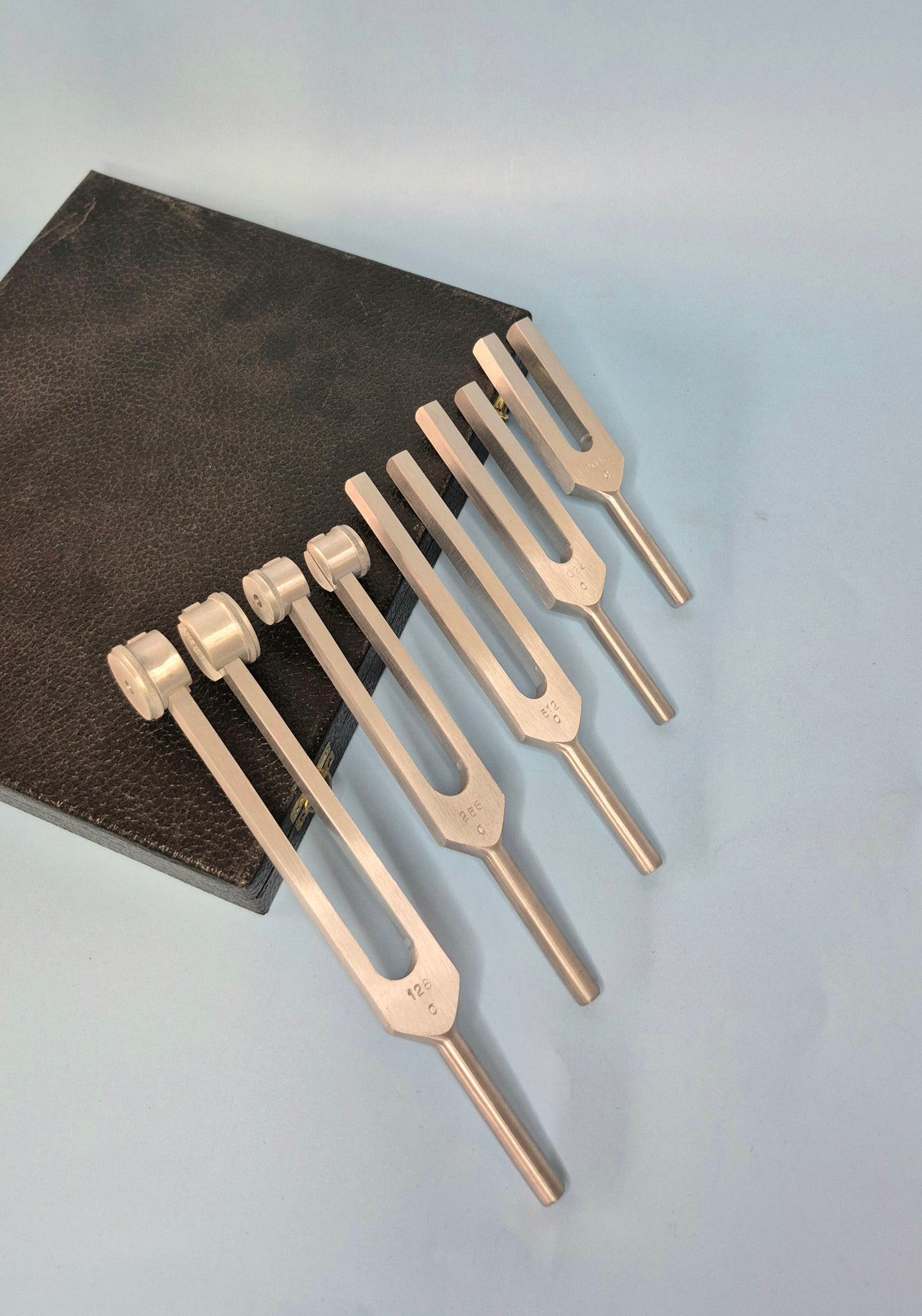 Tuning Forks (4 variations)