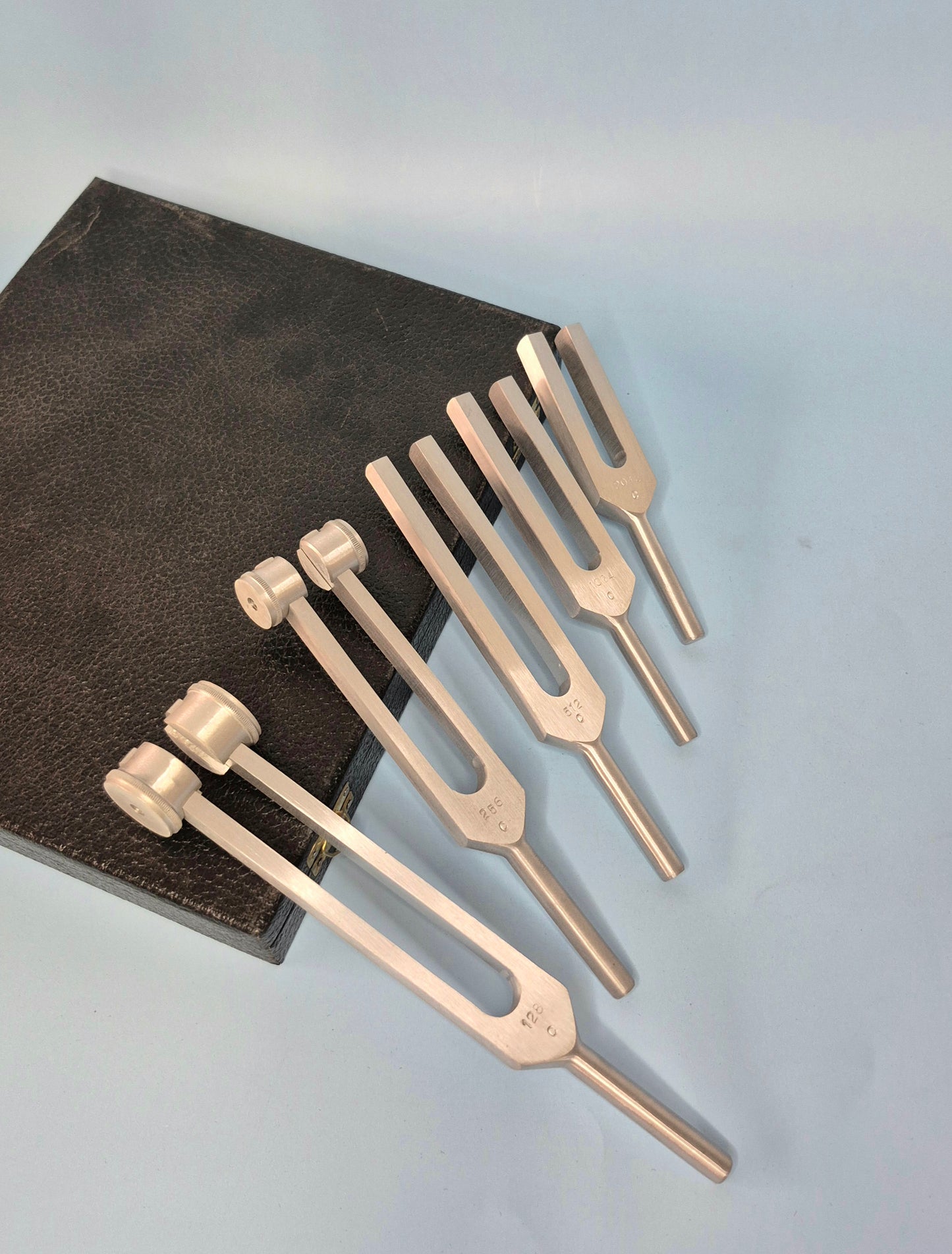 Tuning Forks (4 variations)