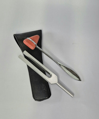Tuning Fork / Taylor Reflex Hammer