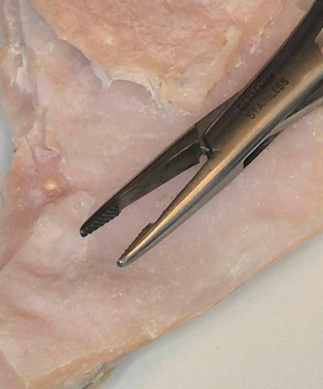 Mosquito Forceps 5" (TC - Half Tip)