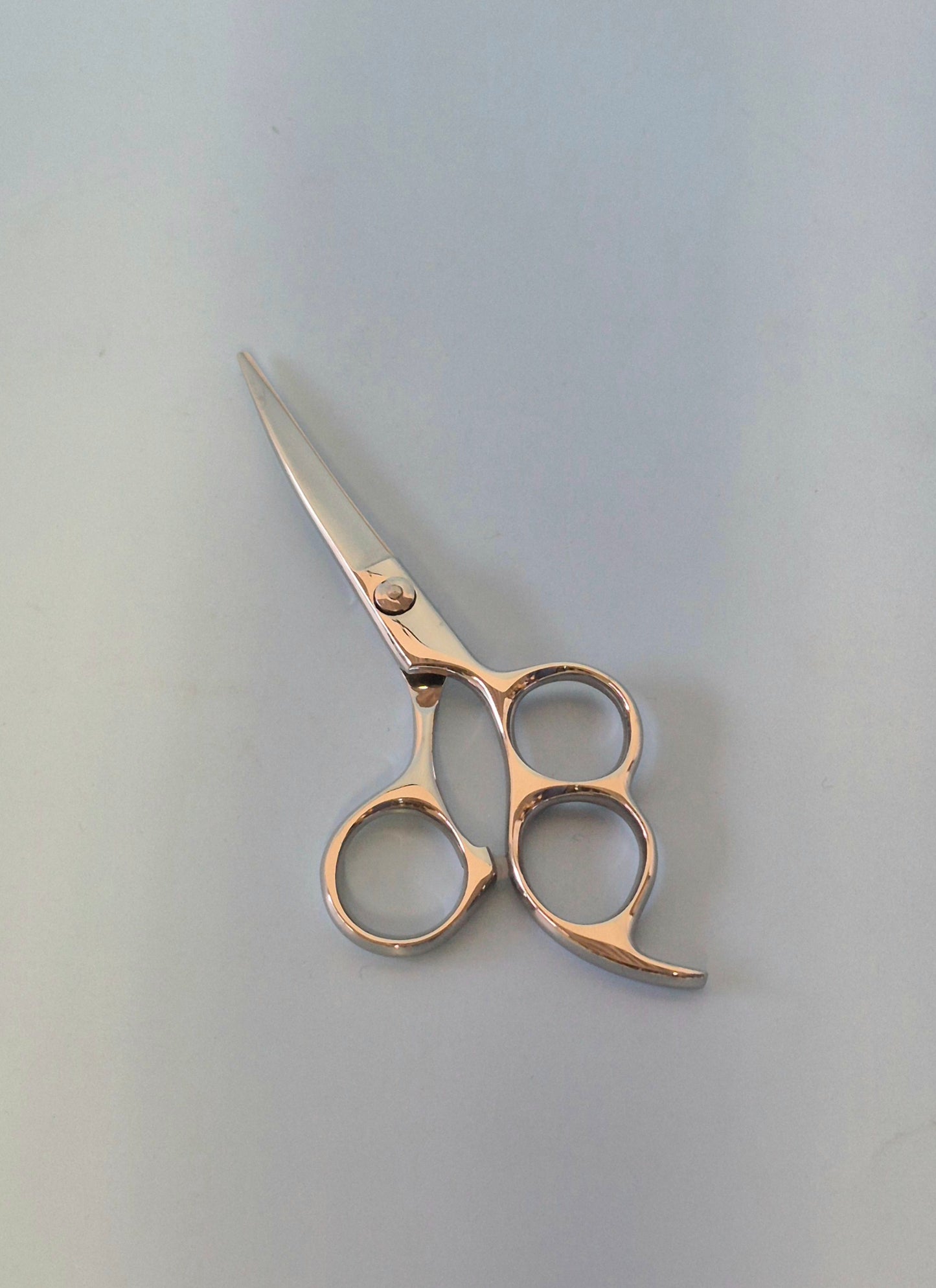 Sabre Curved Shears 5"