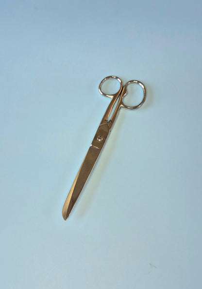 Household Scissors (2 sizes)