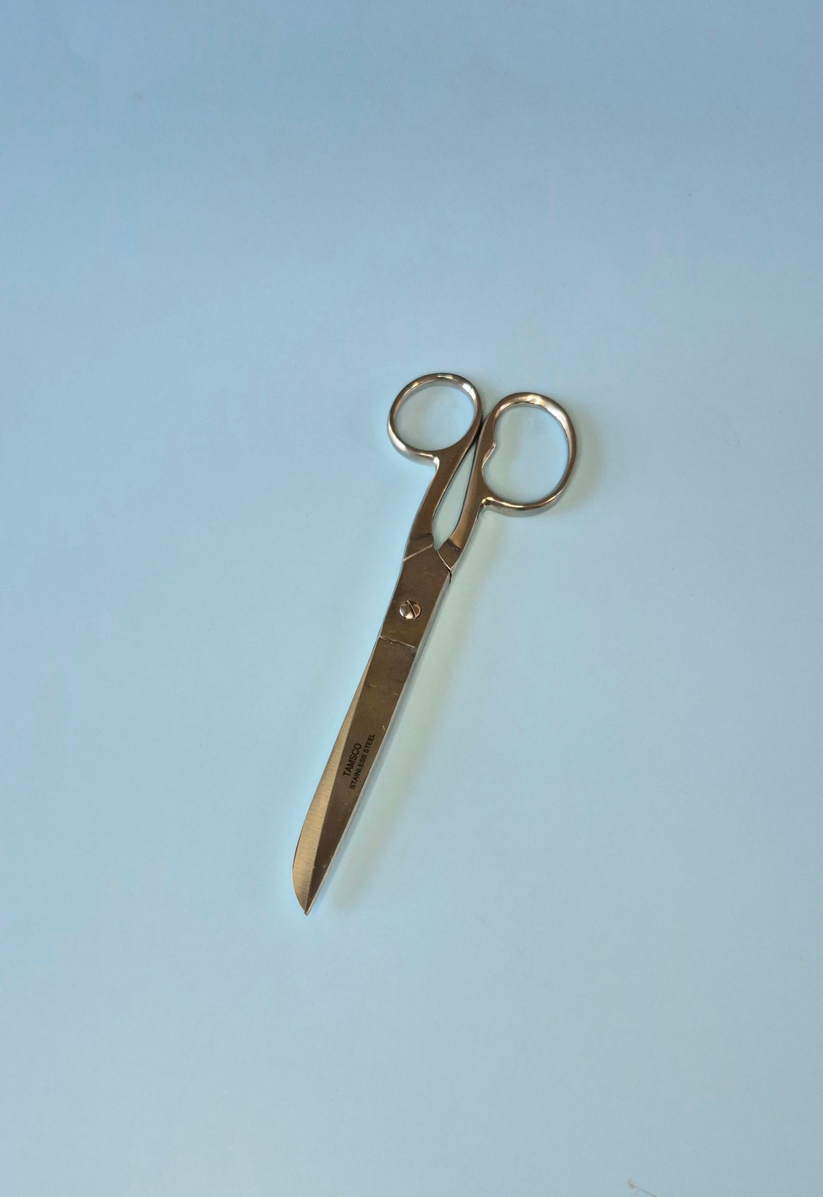 Household Scissors (2 sizes)