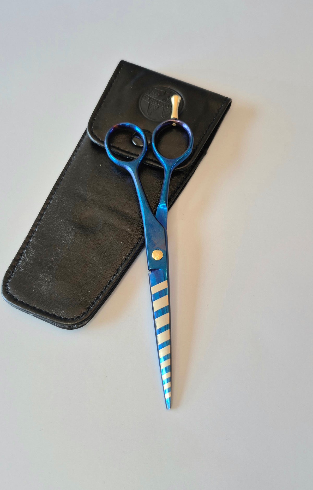 Hair Styling Shear 6" (Blue)