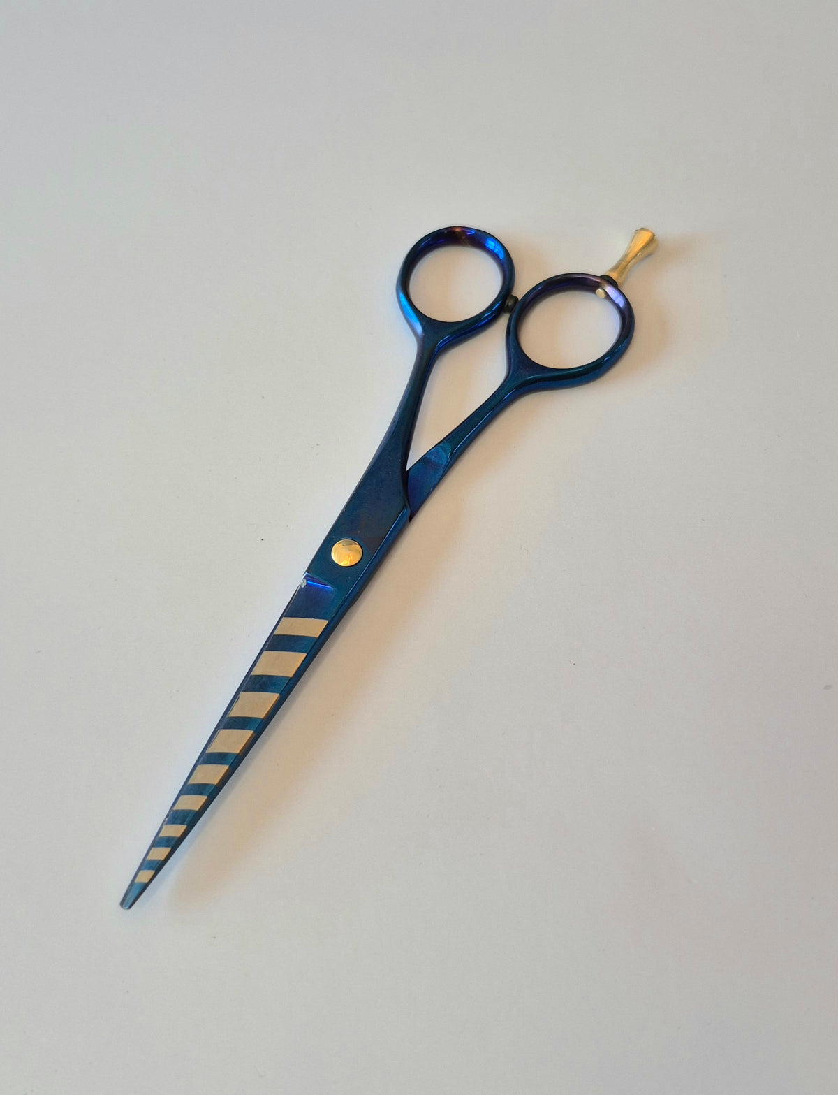 Hair Styling Shear 6" (Blue)