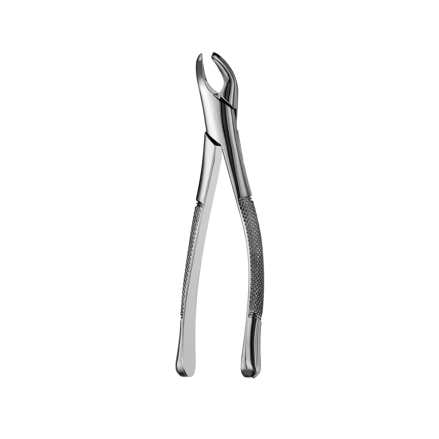 Dental Forcep #151