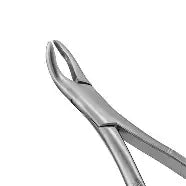 Dental Forcep #203