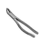 Dental Forcep #151S