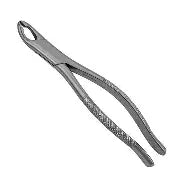 Dental Forcep #150A