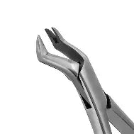 Dental Forcep #88R