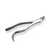 Dental Forcep #85
