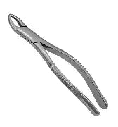 Dental Forcep #62