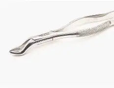 Dental Forcep #53R
