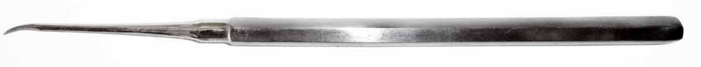 Heidbrink Root-Tip Pics-SE       #1