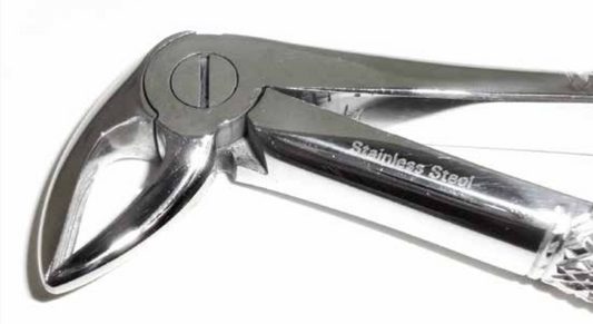 Dental Forcep #33