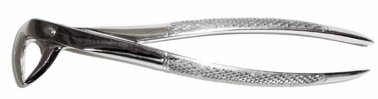Dental Forcep #74N