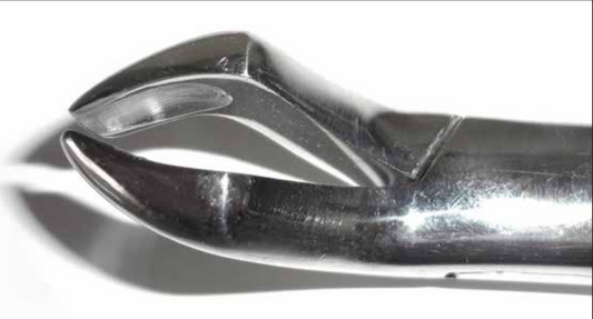 Dental Forcep #10H