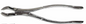 Dental Forcep #53R