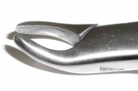 Dental Forcep #62