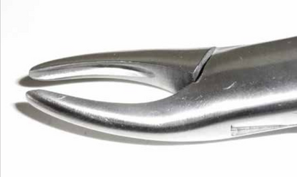 Dental Forcep #69
